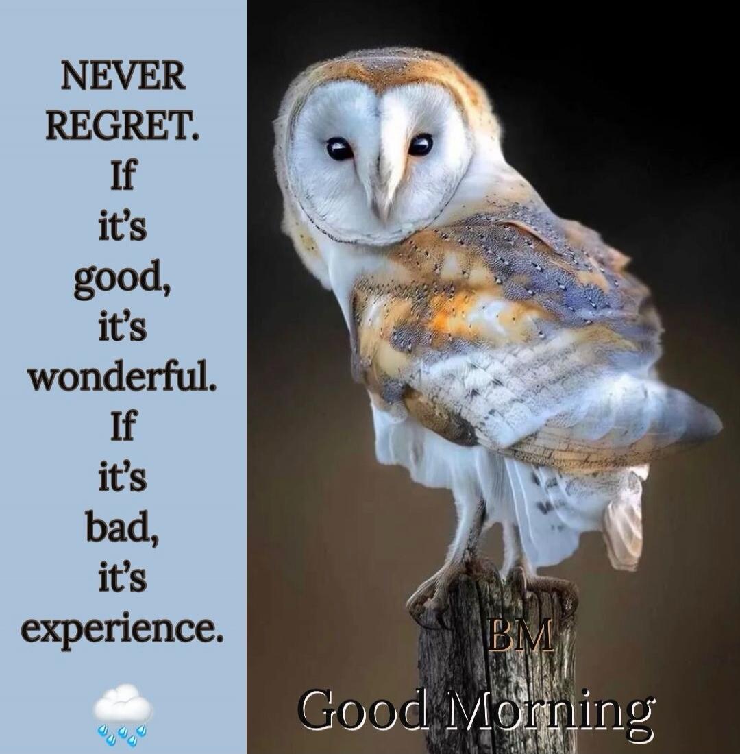 NEVER REGRET. If it's good, it's wonderful. If it's bad, it's experience. Good Morning.