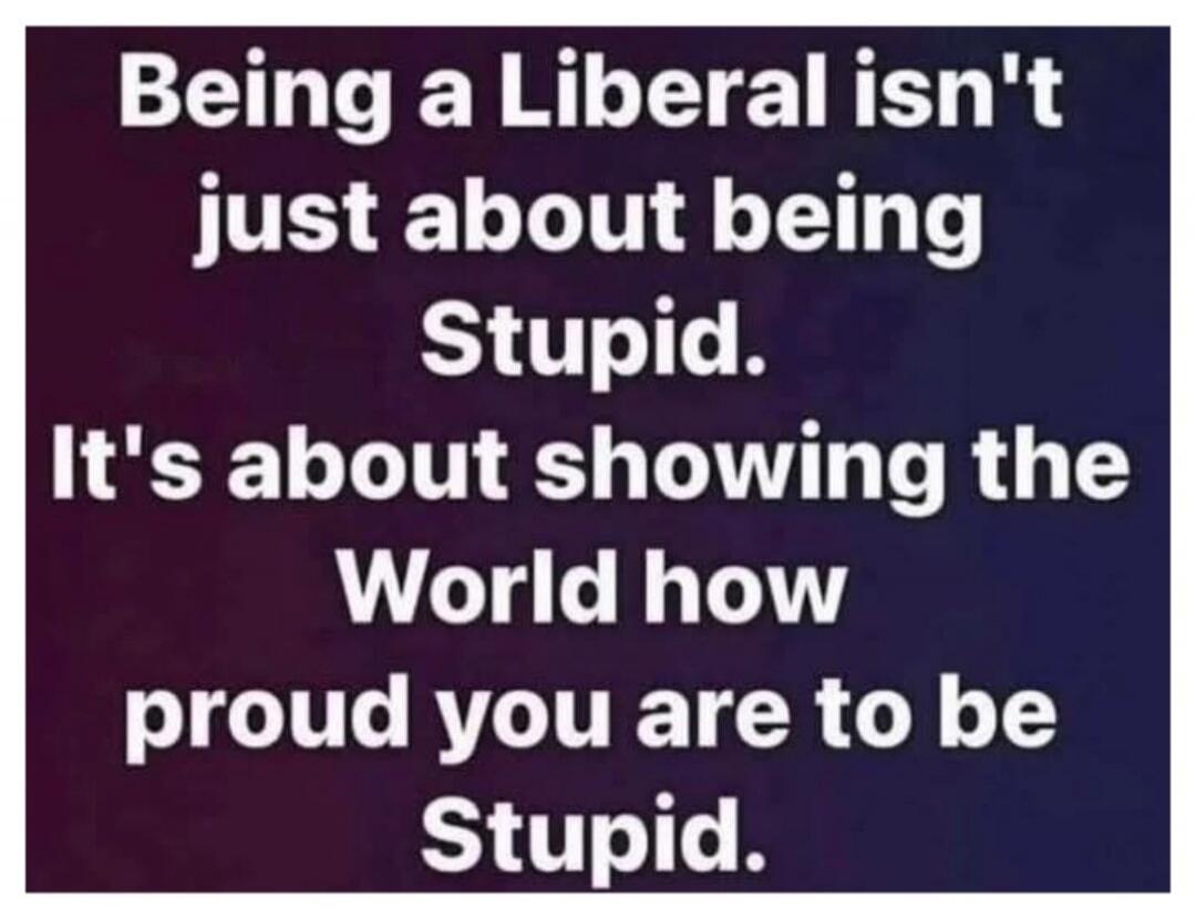 Being a Liberal isn't just about being Stupid. It's about showing the World how proud you are to be Stupid.