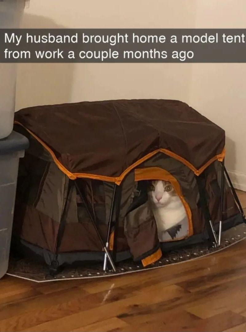 My husband brought home a model tent from work a couple months ago