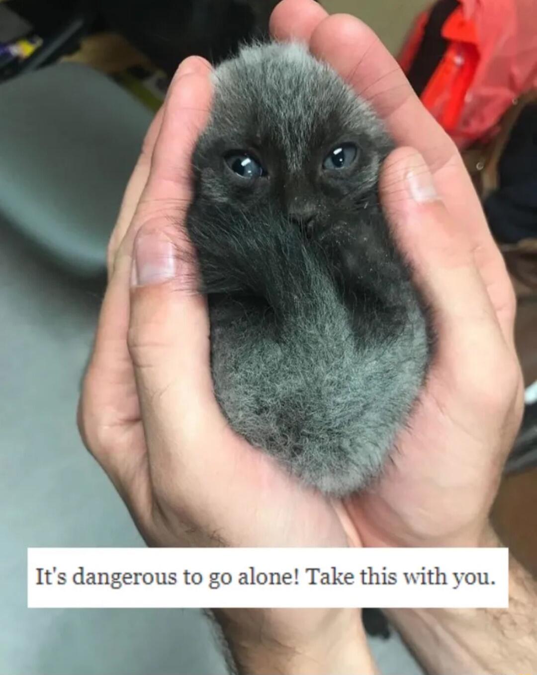 us to go alone Take this with you T N