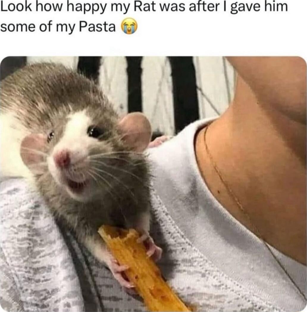 Look how happy my Rat was after gave him some of my Pasta