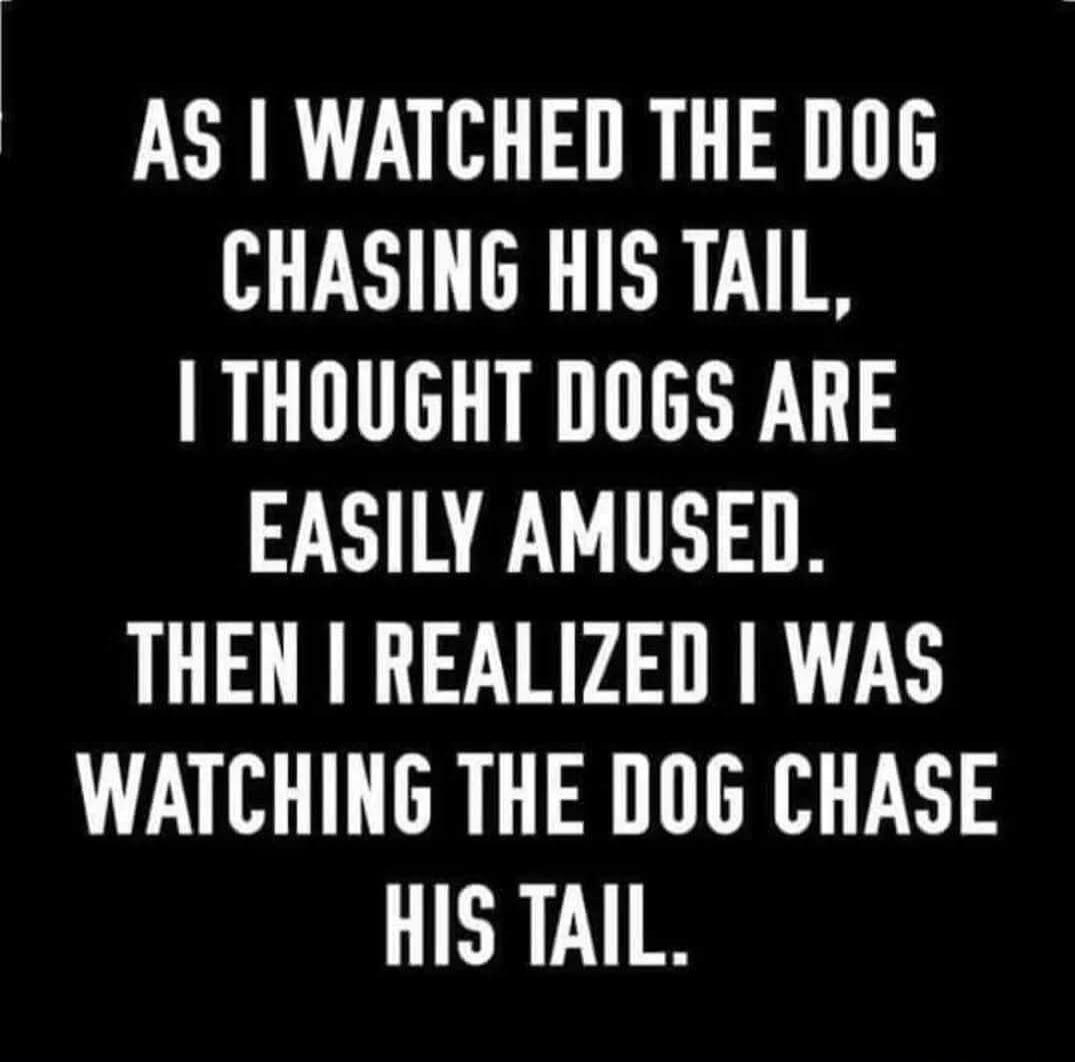 AS I WATCHED THE DOG CHASING HIS TAIL, I THOUGHT DOGS ARE EASILY AMUSED. THEN I REALIZED I WAS WATCHING THE DOG CHASE HIS TAIL.