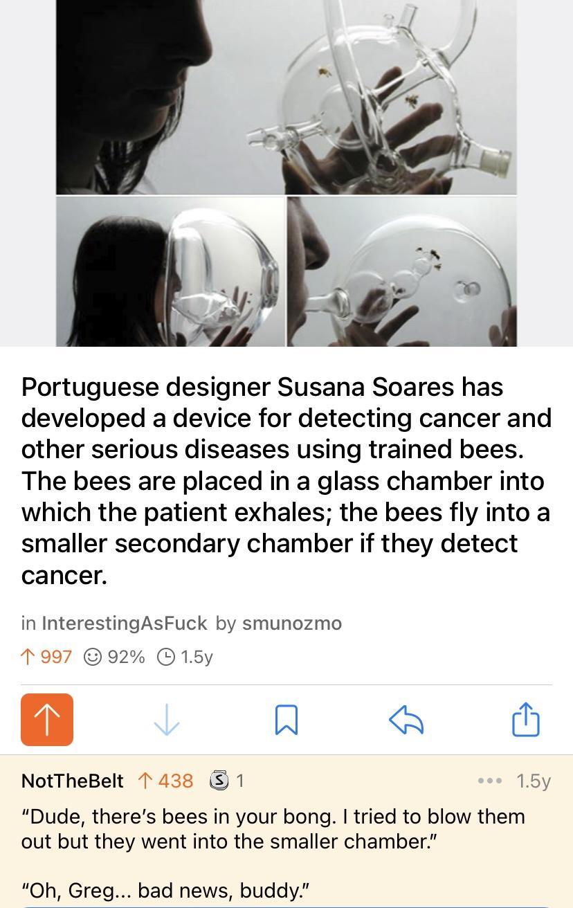 1 3 w S L 4 Portuguese designer Susana Soares has developed a device for detecting cancer and other serious diseases using trained bees The bees are placed in a glass chamber into which the patient exhales the bees fly into a smaller secondary chamber if they detect cancer in InterestingAsFuck by smunozmo 17997 92 15y A 0 NotTheBelt 1 438 1 15y Dude theres bees in your bong tried to blow them out 