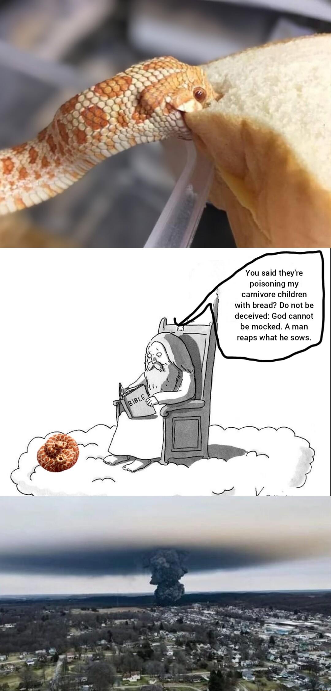 ou said theyre poisoning my camivore children with bread Do not be deceived God cannot be mocked A man reaps what he sows