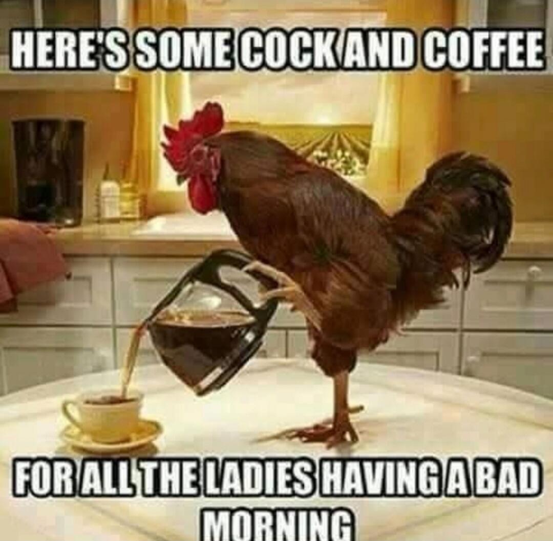 Here's some cock and coffee for all the ladies having a bad morning.