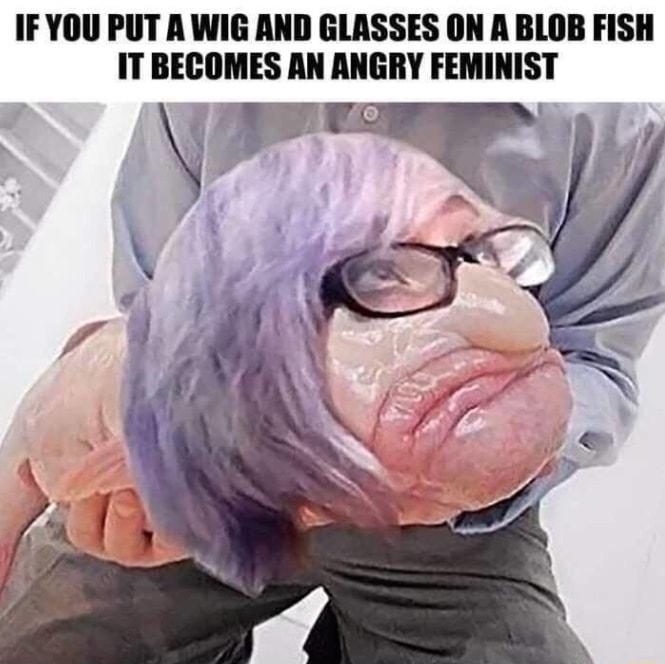 IFYOU PUT A WIG AND GLASSES ON A BLOB FISH IT BECOMES AN ANGRY FEMINIST