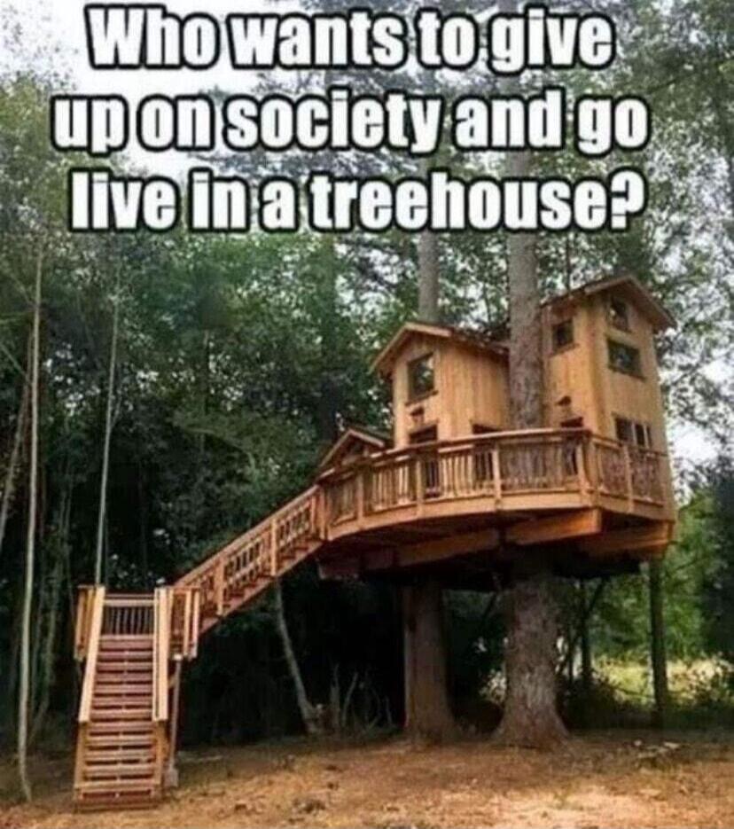 Who wants to give up on society and go live in a treehouse?