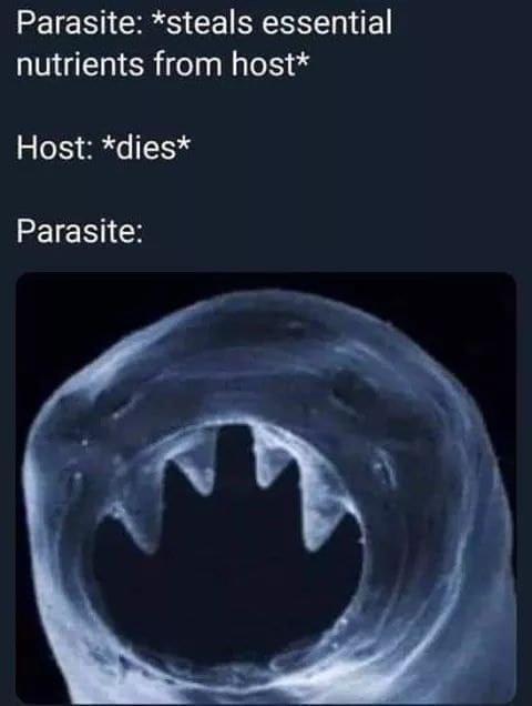 Parasite steals essential nutrients from host Host dies Parasite