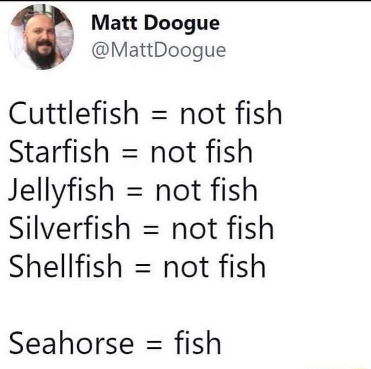 Matt Doogue MattDoogue Cuttlefish not fish Starfish not fish Jellyfish not fish Silverfish not fish Shellfish not fish Seahorse fish