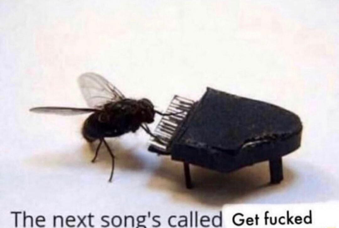 The next songs called Get fucked