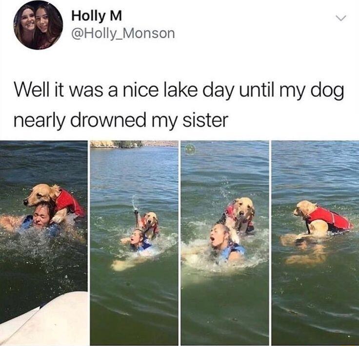 Holly M Holly_Monson Well it was a nice lake day until my dog nearly drowned my sister