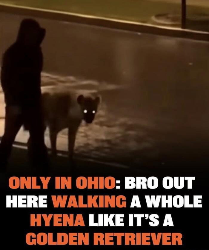 ONLY IN OHIO: BRO OUT HERE WALKING A WHOLE HYENA LIKE IT'S A GOLDEN RETRIEVER
