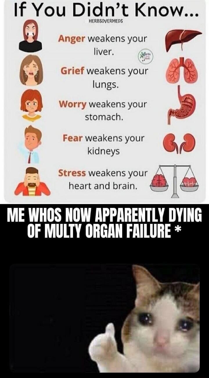 If You Didn't Know... HERBSOVERMEDS Anger weakens your liver. Grief weakens your lungs. Worry weakens your stomach. Fear weakens your kidneys. Stress weakens your heart and brain. ME WHOS NOW APPARENTLY DYING OF MULTY ORGAN FAILURE *