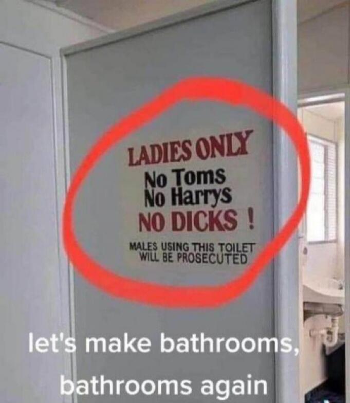 LADIES ONLY No Toms No Harrys NO DICKS ! MALES USING THIS TOILET WILL BE PROSECUTED let's make bathrooms, bathrooms again