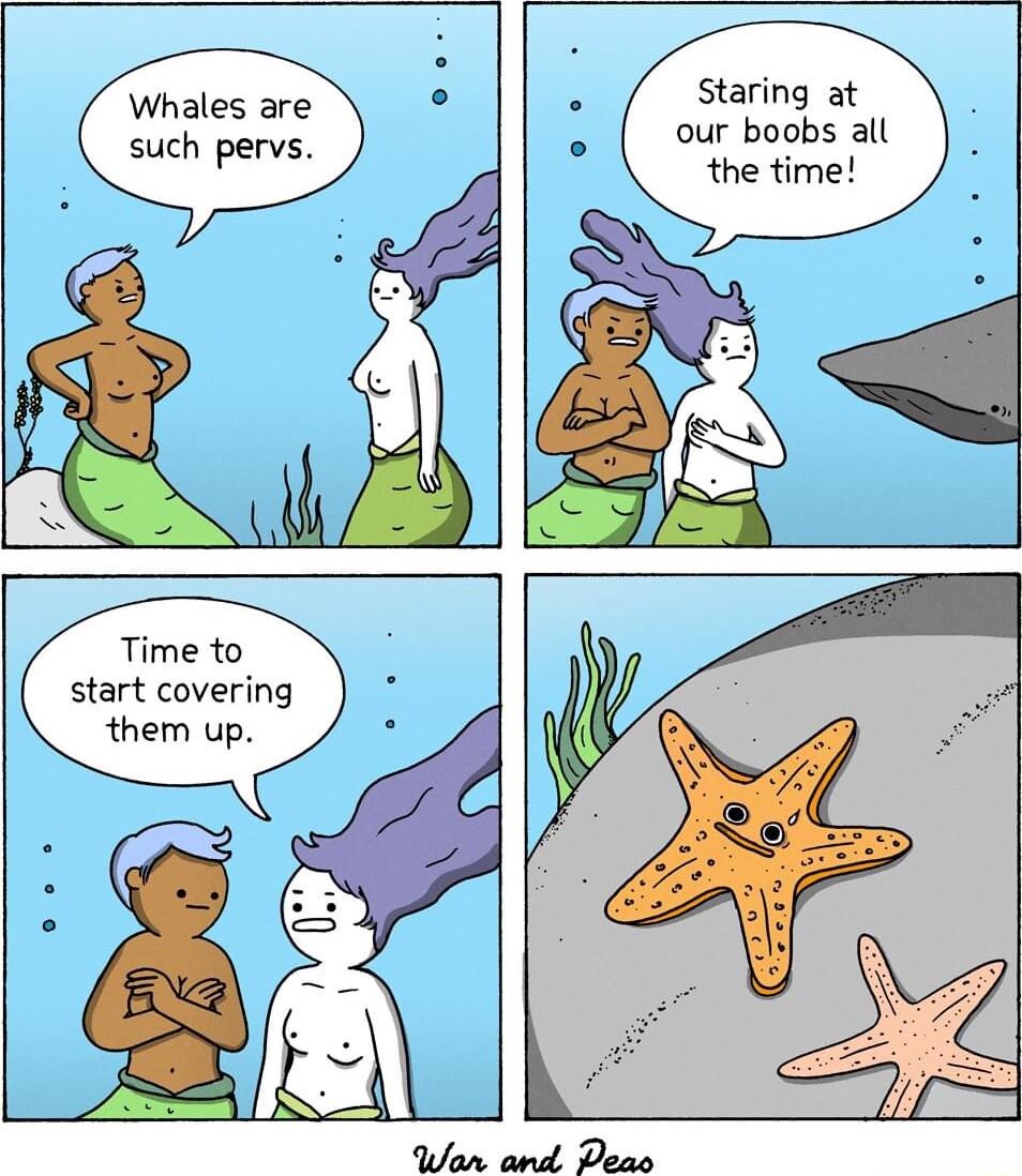 Whales are such pervs Staring at our boobs all the time start covering them up