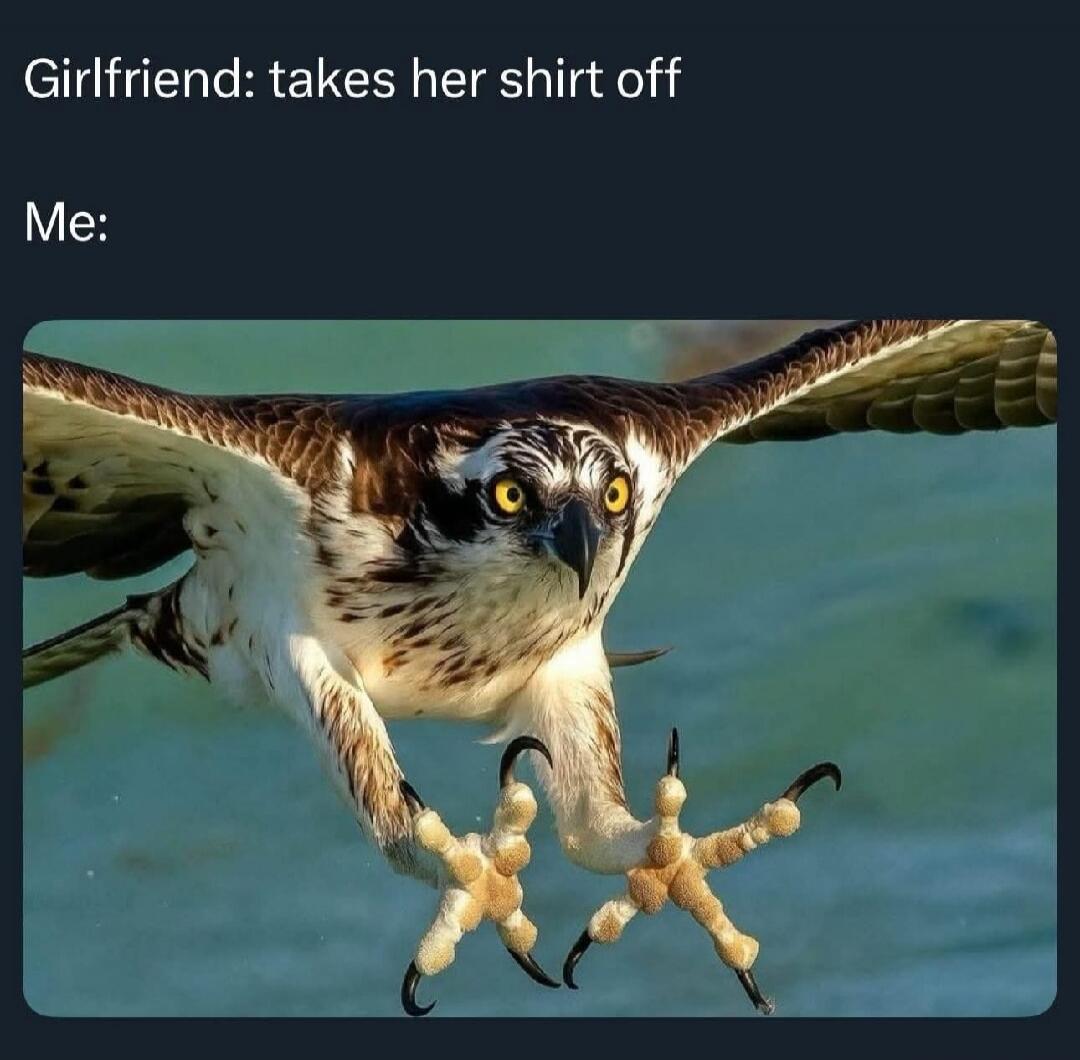 Girlfriend: takes her shirt off Me: