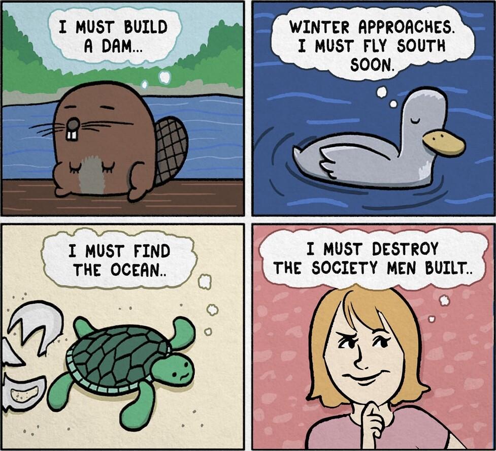 I MUST BUILD A DAM WINTER APPROACHES I MUST FLY SOUTH SOON 1 WUST FIND THE OCEAN D S I MUST DESTROY TNE SOGICTV MEN BUIT