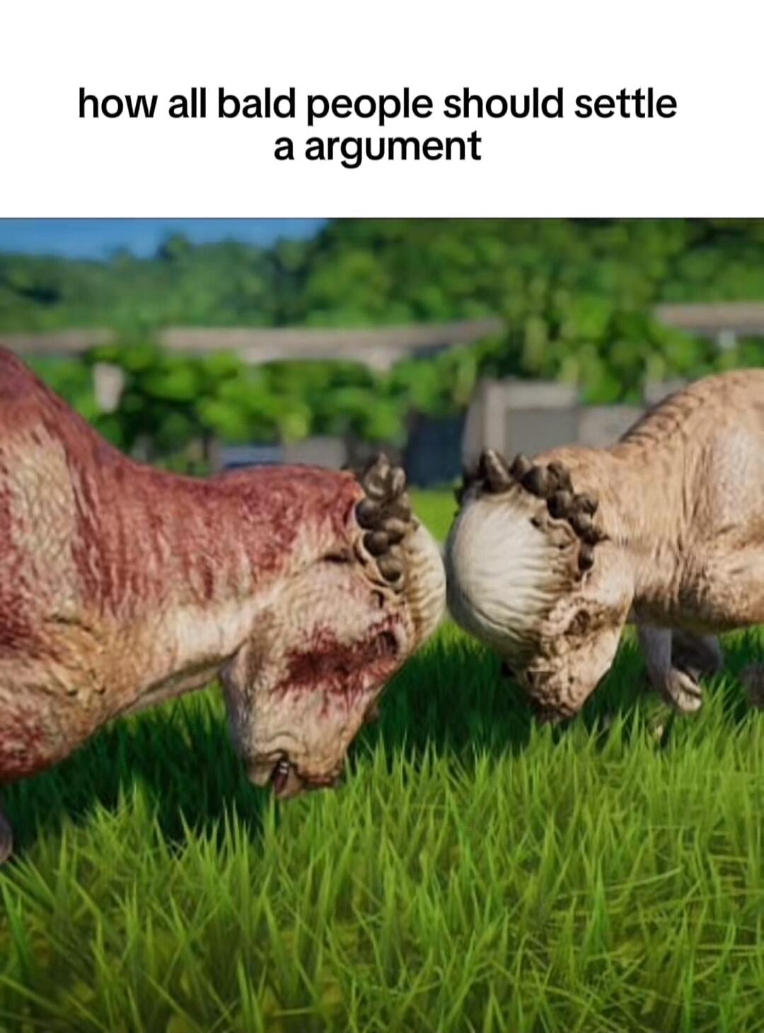 how all bald people should settle aargument
