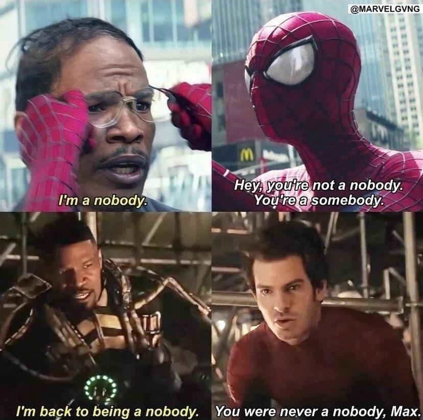 Im back to being a nobody You wereinever a nobody Max