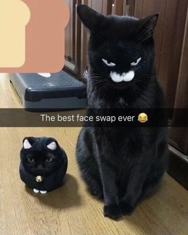 The best face swap ever