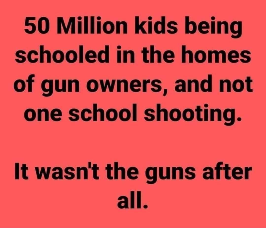 50 Million kids being schooled in the homes of gun owners and not one school shooting It wasnt the guns after all