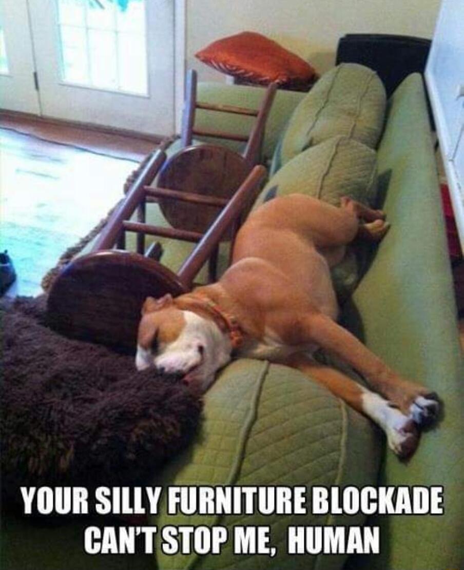 V YOUR SILLY FURNITURE BLOCKADE CANTSTOP ME HUMAN