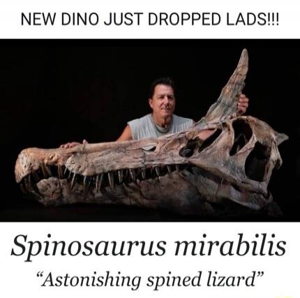 NEW DINO JUST DROPPED LADS!!! Spinosaurus mirabilis “Astonishing spined lizard”