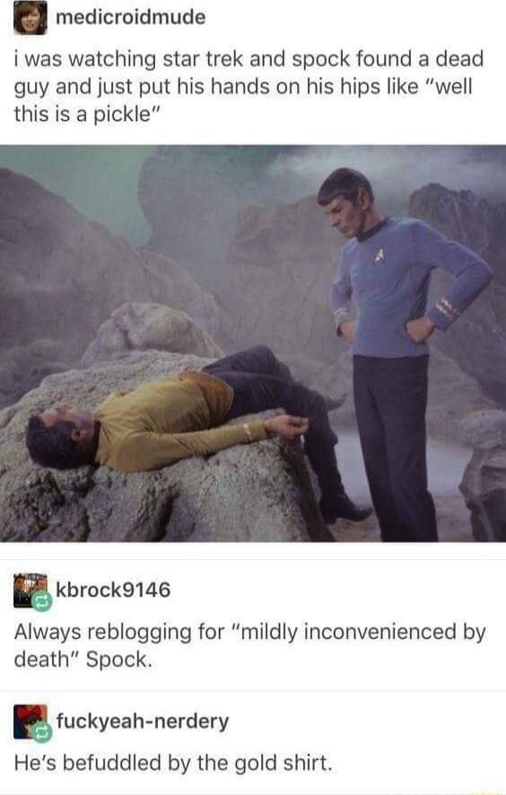 5g medicroidmude i was watching star trek and spock found a dead guy and just put his hands on his hips like well this is a pickle Bkbruck91de Always reblogging for mildly inconvenienced by death Spock fuckyeah nerdery Hes befuddled by the gold shirt