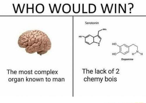 WHO WOULD WIN The most complex organ known to man n The lack of 2 chemy bois