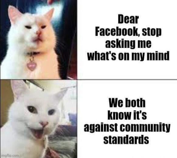 Dear Facebook, stop asking me what's on my mind. We both know it's against community standards.