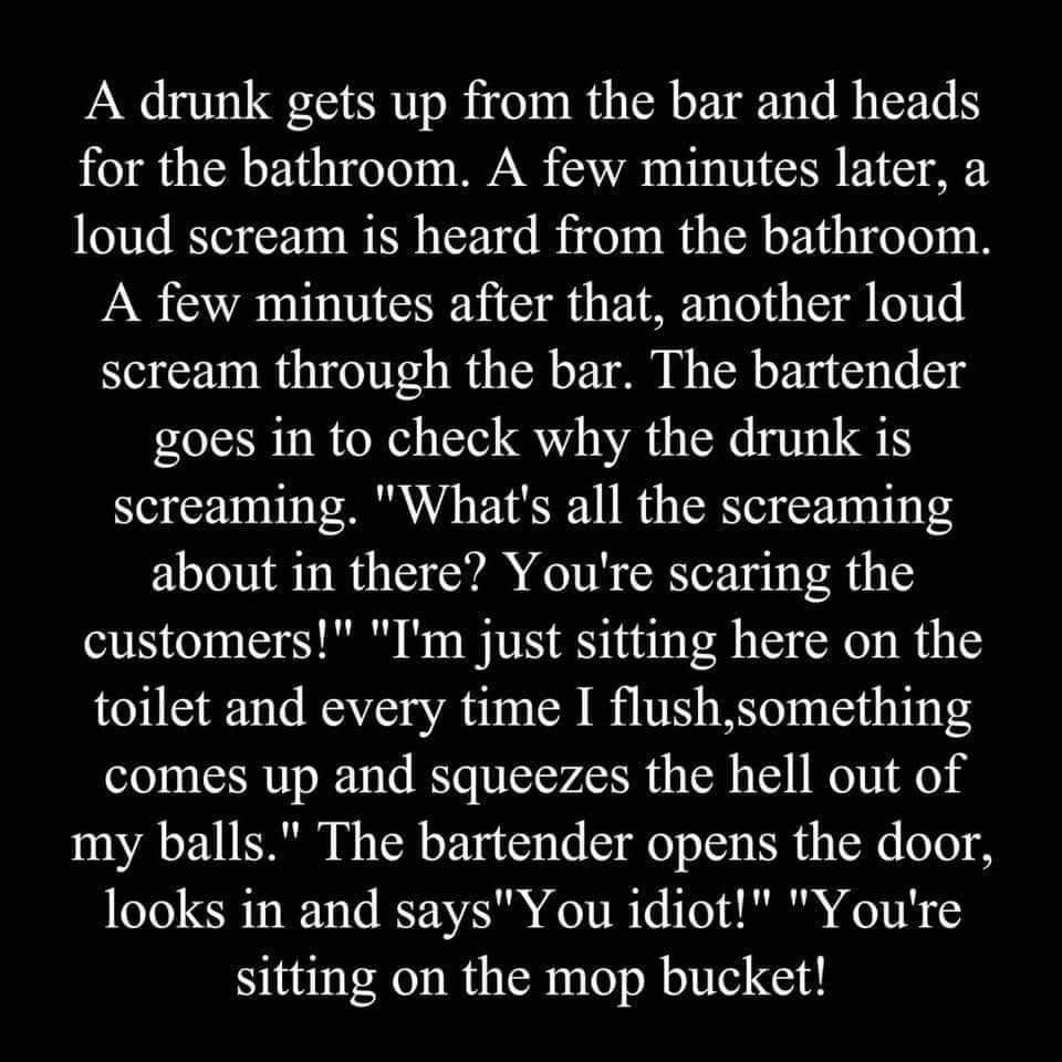 A drunk gets up from the bar and heads for the bathroom A few minutes later a loud scream is heard from the bathroom A few minutes after that another loud scream through the bar The bartender goes in to check why the drunk is screaming Whats all the screaming about in there Youre scaring the customers Im just sitting here on the toilet and every time I flushsomething comes up and squeezes the hell