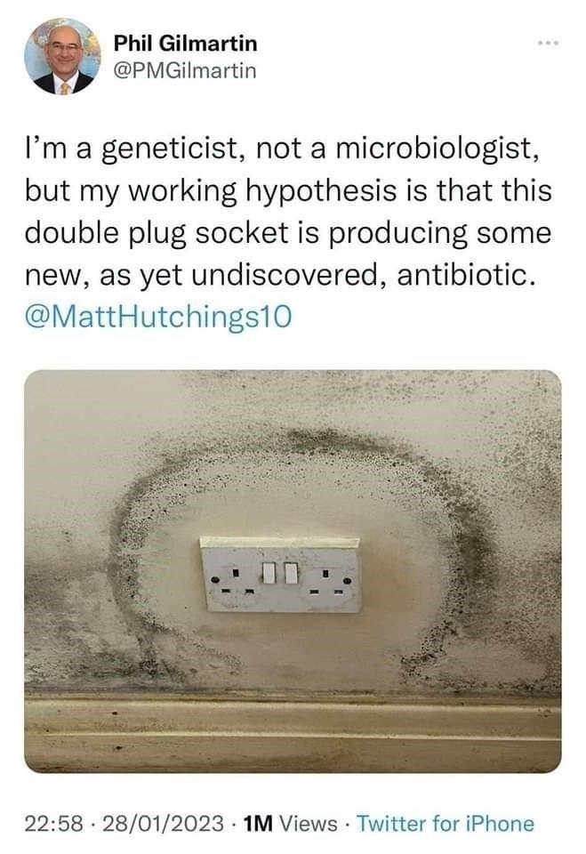 Phil Gilmartin PMGilmartin Im a geneticist not a microbiologist but my working hypothesis is that this double plug socket is producing some new as yet undiscovered antibiotic MattHutchings10 2258 28012023 1M Views Twitter for iPhone