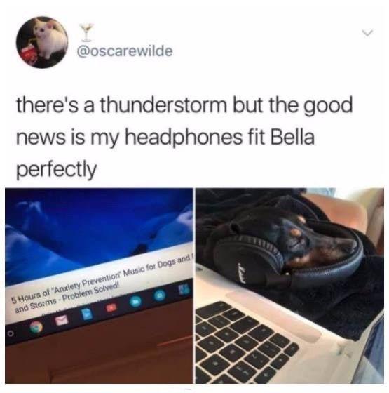 theres a thunderstorm but the good news is my headphones fit Bella perfectly