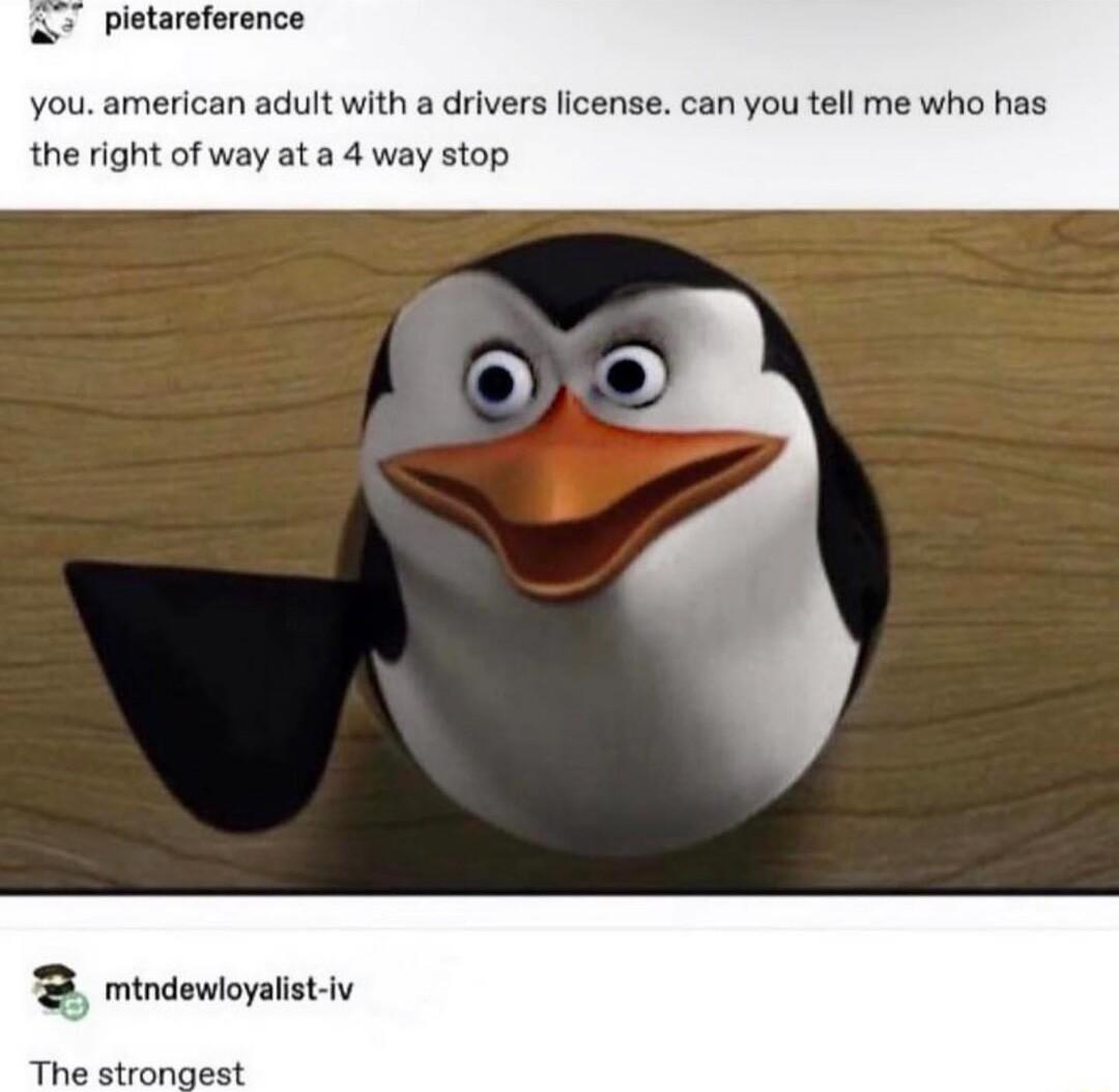 Pietareference you american adult with a drivers license can you tell me who has the right of way at a 4 way stop