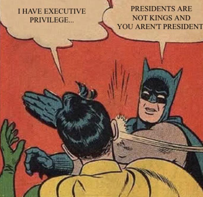 I HAVE EXECUTIVE PRESIDENTS ARE NOT KINGS AND PRIVILEGE EYOU ARENT PRESIDENT 3 S