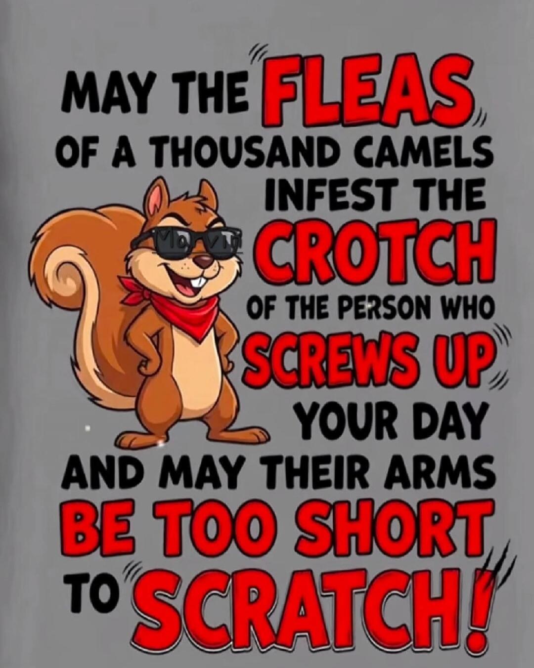 MAY THE FLEAS OF A THOUSAND CAMELS INFEST THE CROTCH OF THE PERSON WHO SCREWS UP YOUR DAY AND MAY THEIR ARMS BE TOO SHORT TO SCRATCH!