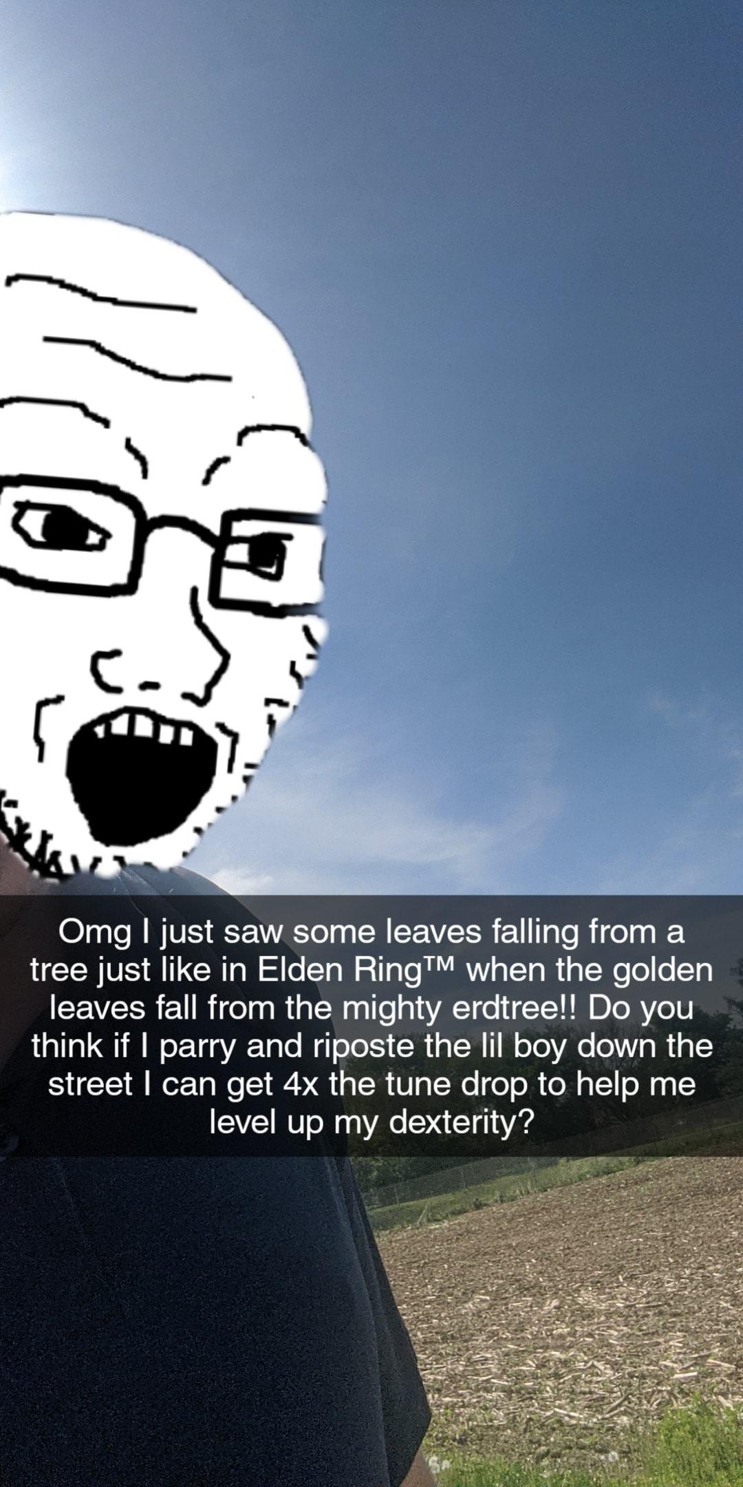 Omg just saw some leaves falling from a GRS RGN l o CTaN 2T o BB o TTo R1gWe o o Ty leaves fall from the mighty erdtree Do you think if parry and riposte the lil boy down the street can get 4x the tune drop to help me level up my dexterity