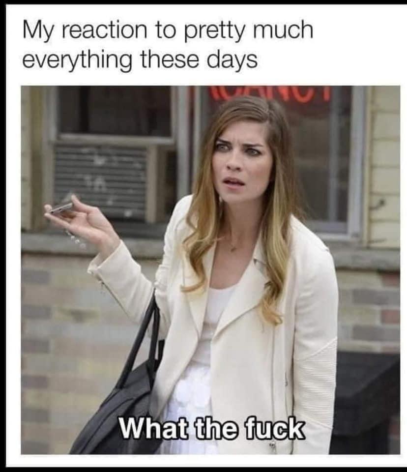 My reaction to pretty much everything these days