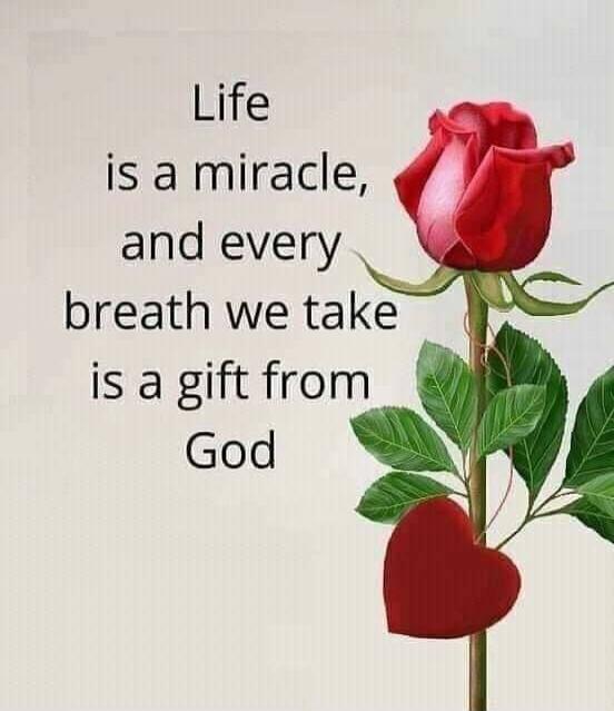 Life is a miracle, and every breath we take is a gift from God