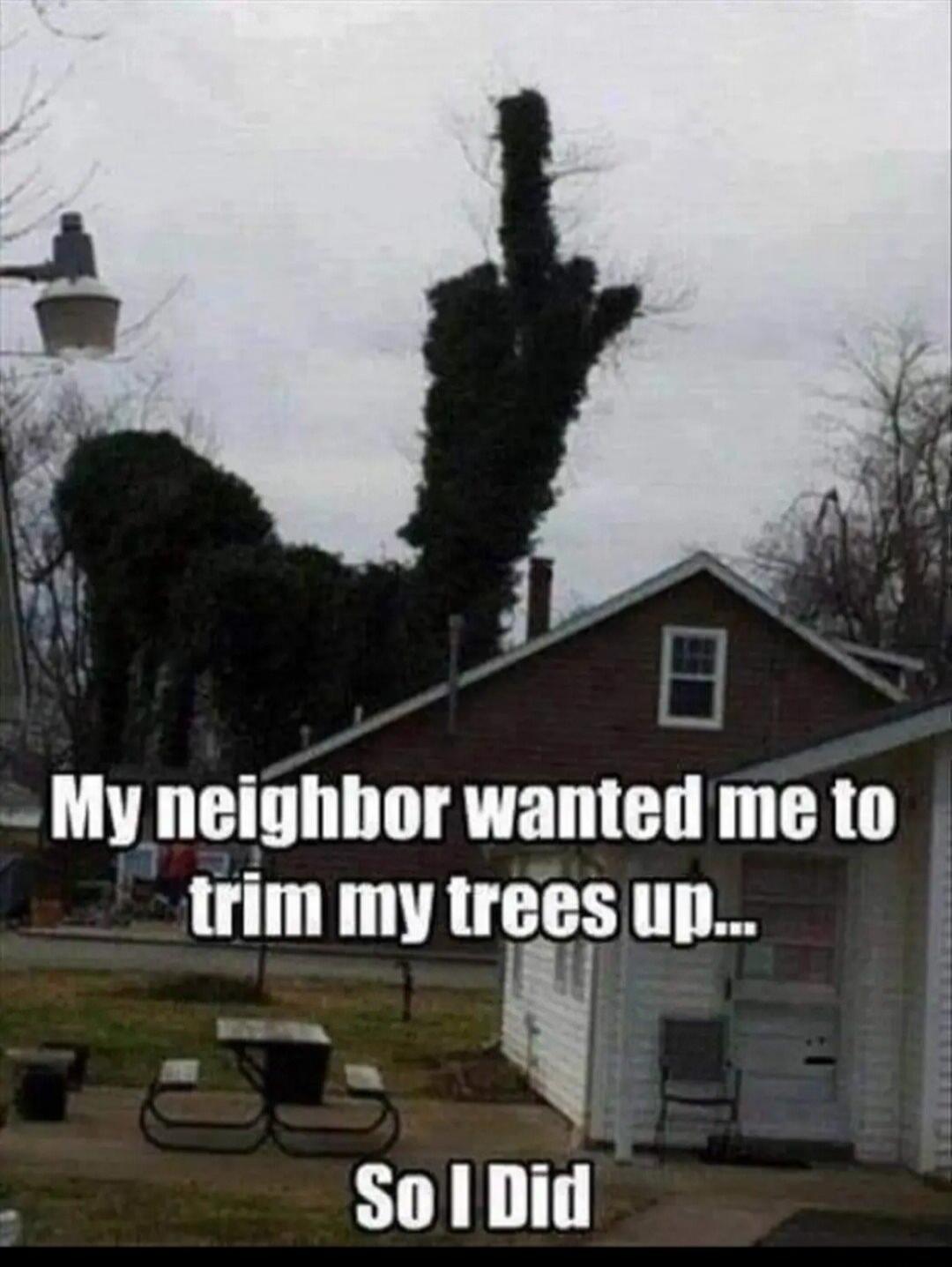 My neighbor wanted me to trim my trees up... So I Did