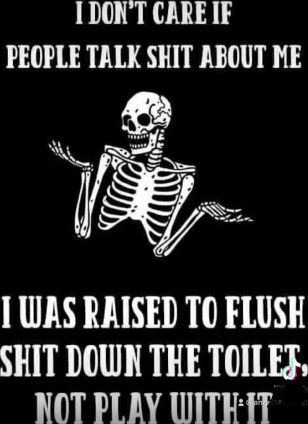 I DON'T CARE IF PEOPLE TALK SHIT ABOUT ME I WAS RAISED TO FLUSH SHIT DOWN THE TOILET NOT PLAY WITH IT