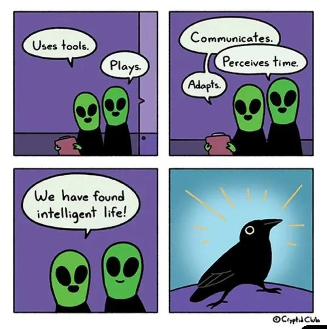 Commumcales We have found inc9en life OCeptdClle