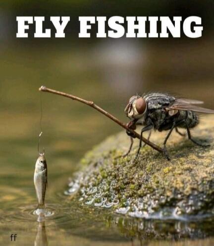FLY FISHING