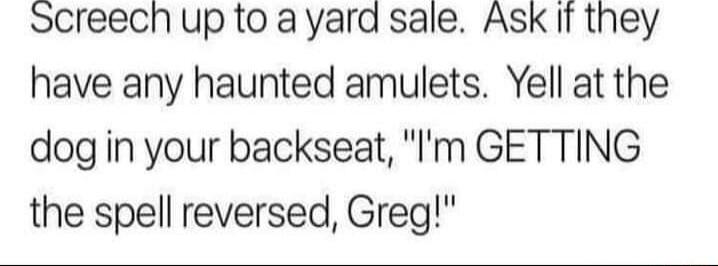 Screech up to ayard sale Ask It they have any haunted amulets Yell at the dog in your backseat Im GETTING the spell reversed Greg