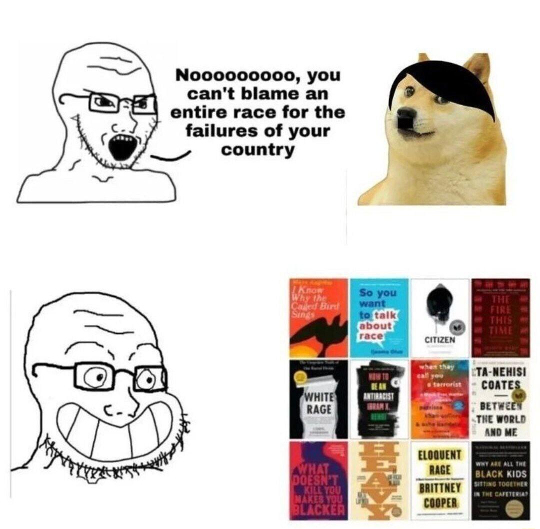 N000000000 you cant blame an entire race for the failures of your country