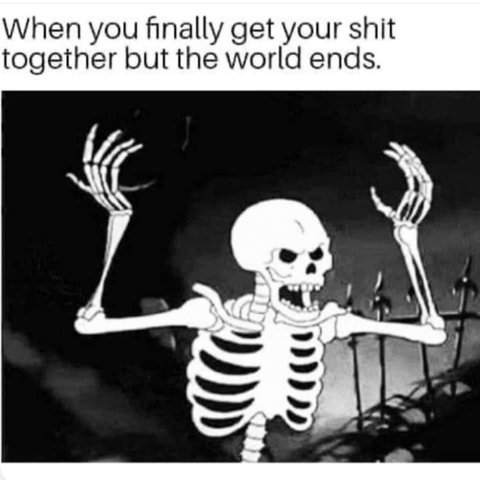 When you finally get your shit together but the world ends 7
