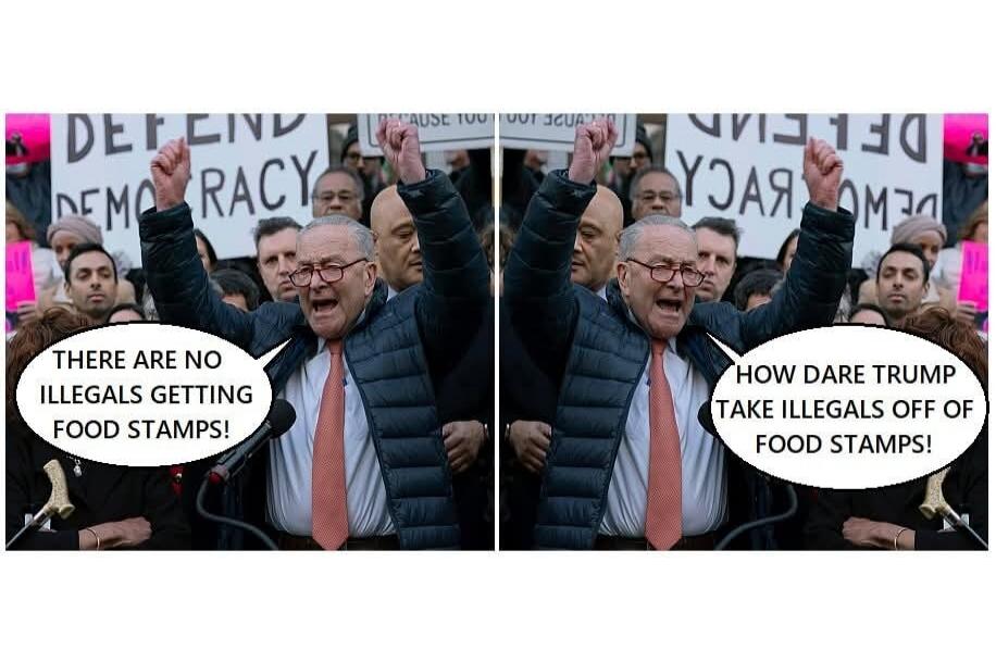 DEFEND DEMOCRACY. THERE ARE NO ILLEGALS GETTING FOOD STAMPS! HOW DARE TRUMP TAKE ILLEGALS OFF OF FOOD STAMPS!