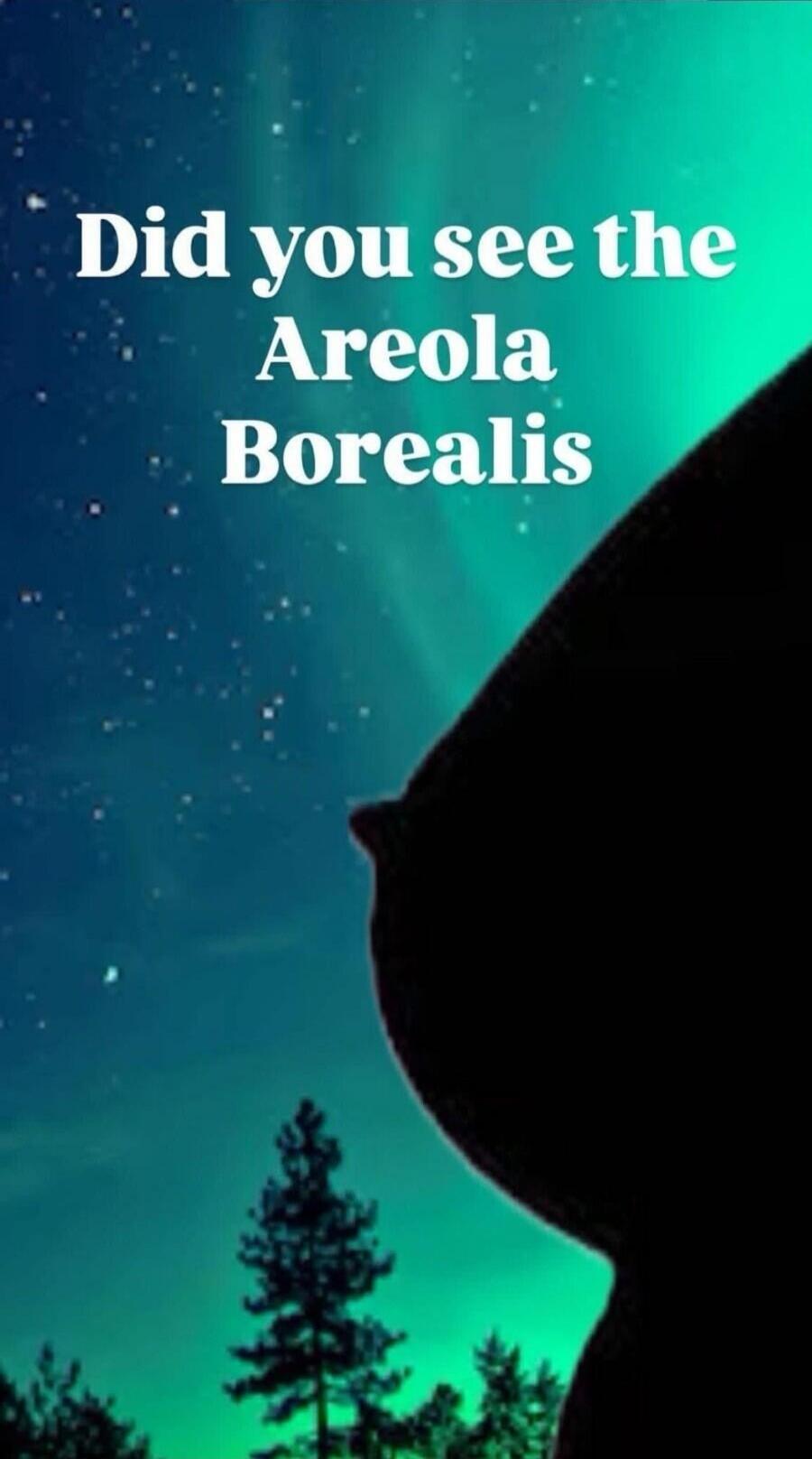 Did you see the Areola Borealis