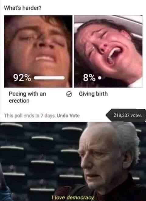 Whats harder Peeing with an erection PALKEZATIES 1 love democracy