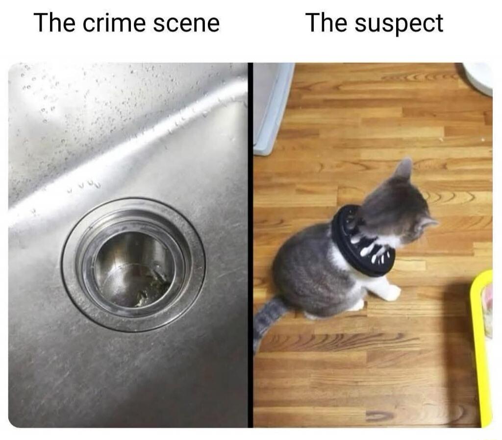 The crime scene The suspect